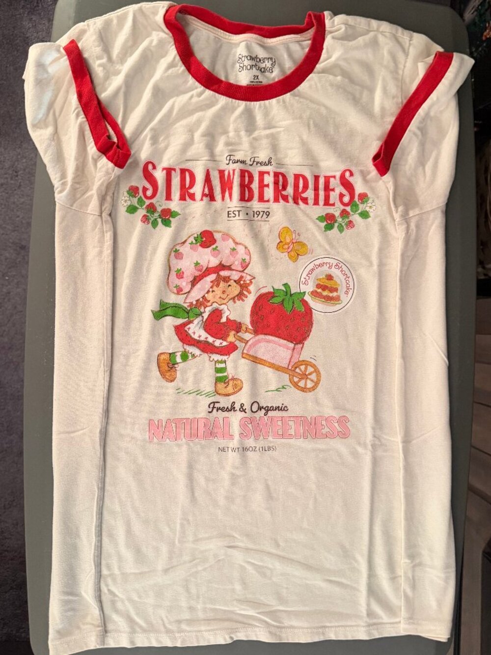 STRAWBERRY SHORTCAKE Farm Fresh Organic Strawberries Box Lunch Shirt 2XL White